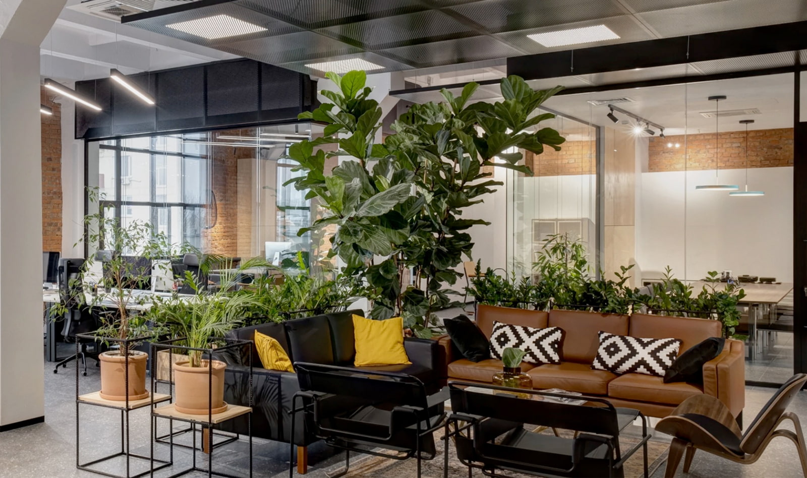 25 Years of Interior Fit Out & Construction Excellence